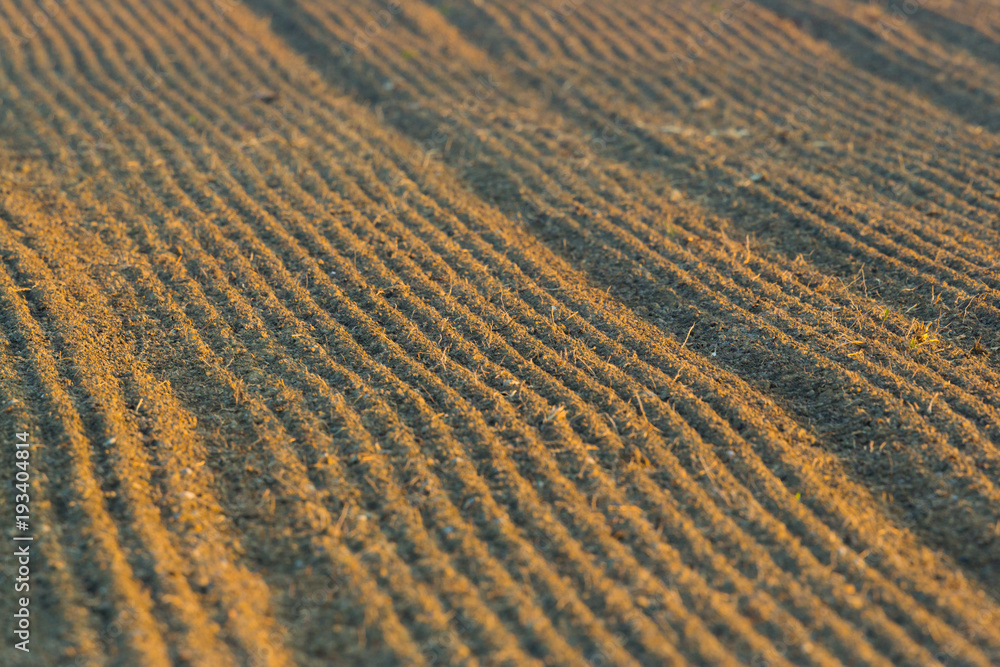 newly furrowed farmland soil with furrows