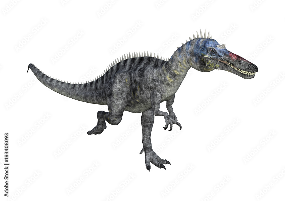 3D Rendering Dinosaur Suchomimus on White 3D Rendering Dinosaur Suchomimus on White