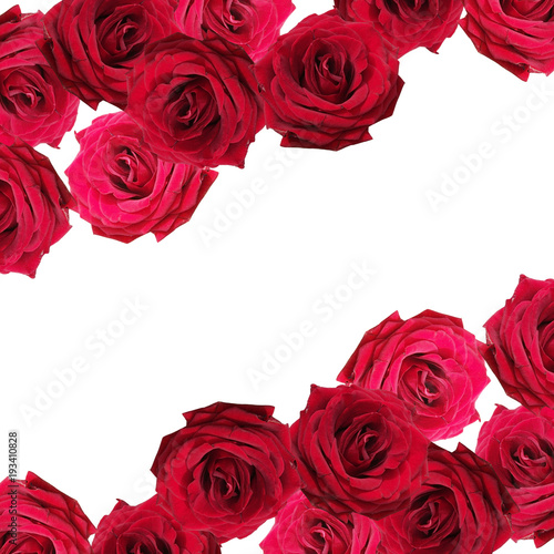 Beautiful floral background of red roses