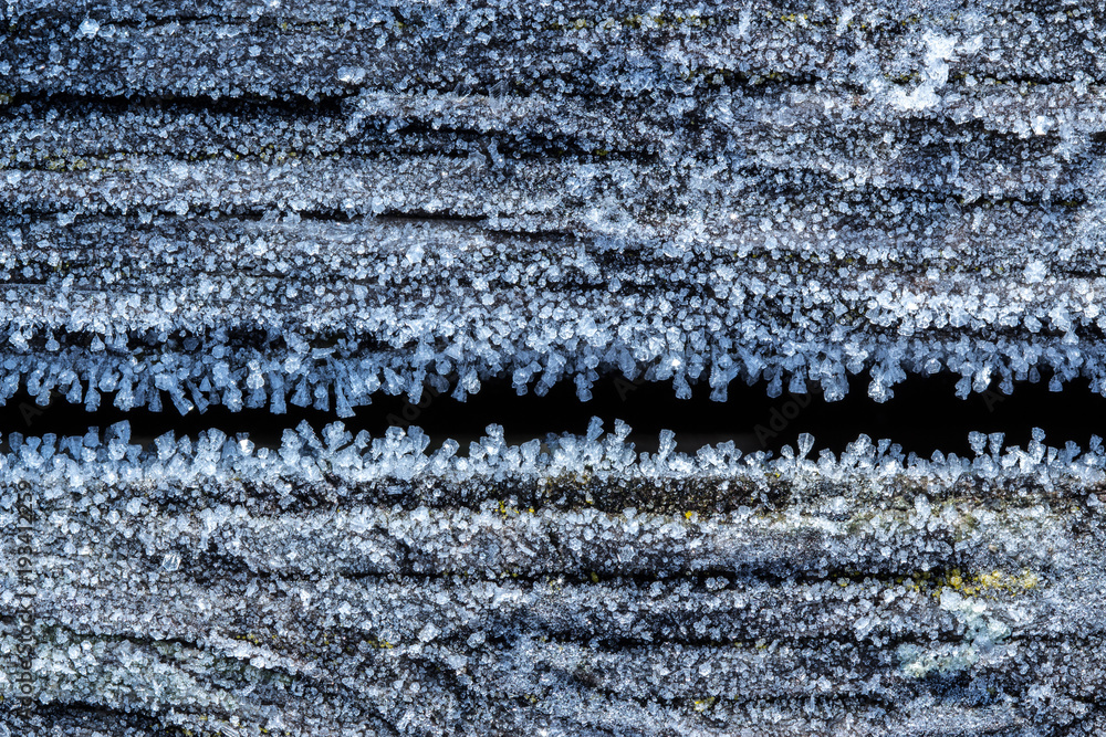 Frost detailed macro in winter