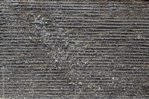 Obraz na płótnie Frosted wood w salonie