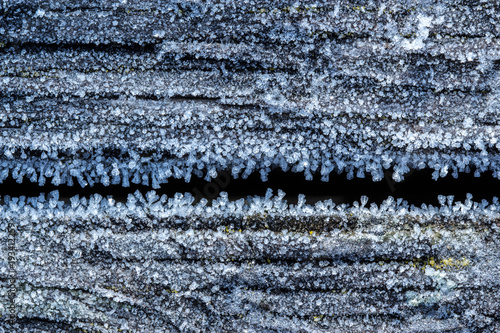 Obraz na płótnie Frost detailed macro in winter w salonie