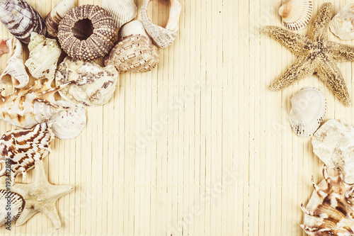 A variety of shells and starfish on a light background with space for text.