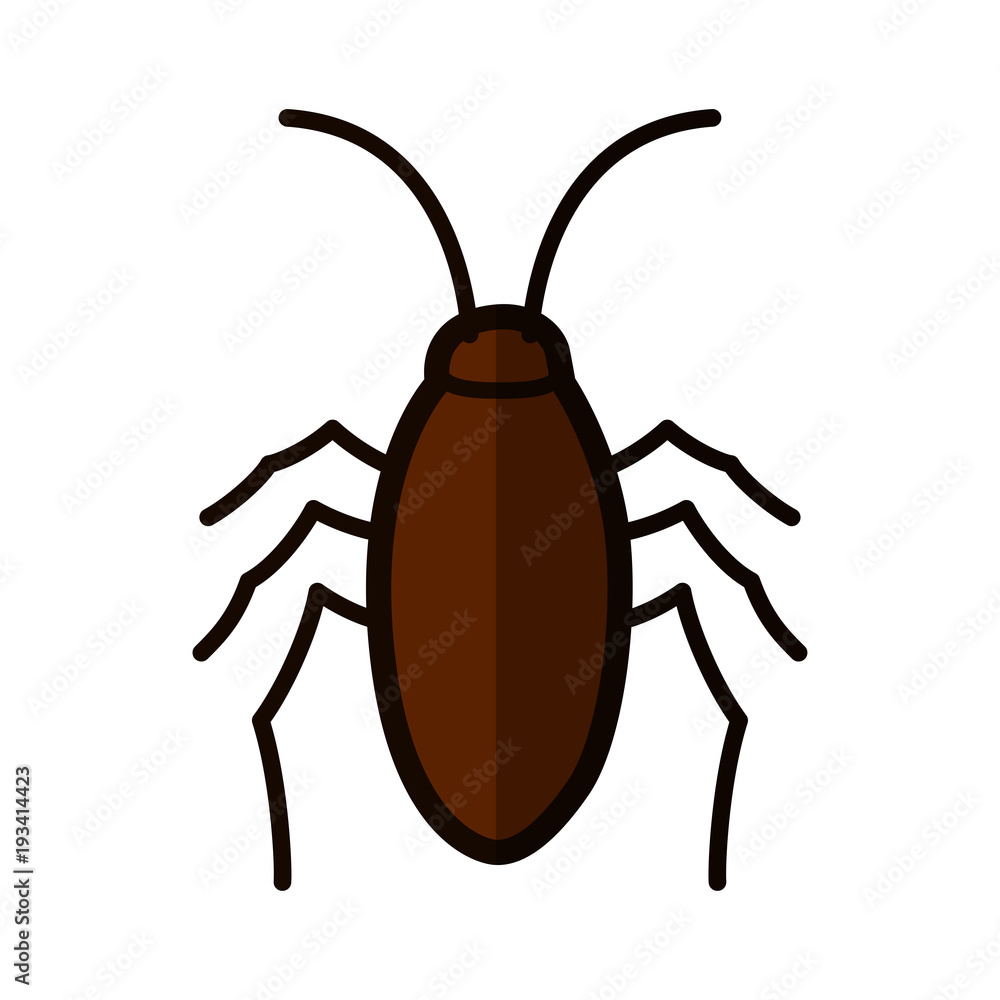 cockroach icon on white background cockroach icon on white background