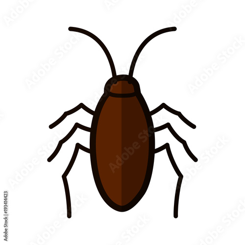 cockroach icon on white background