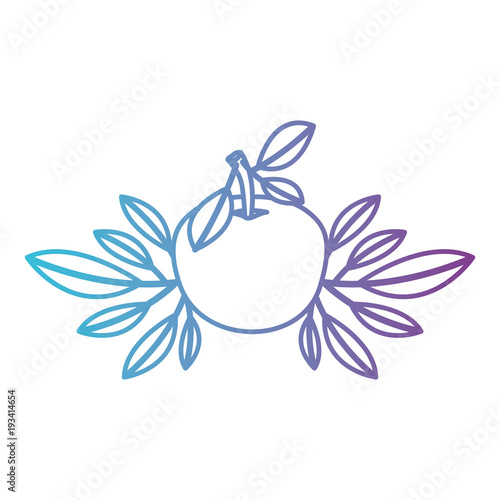 orange with leafs fresh and citrus fruit vector illustration design