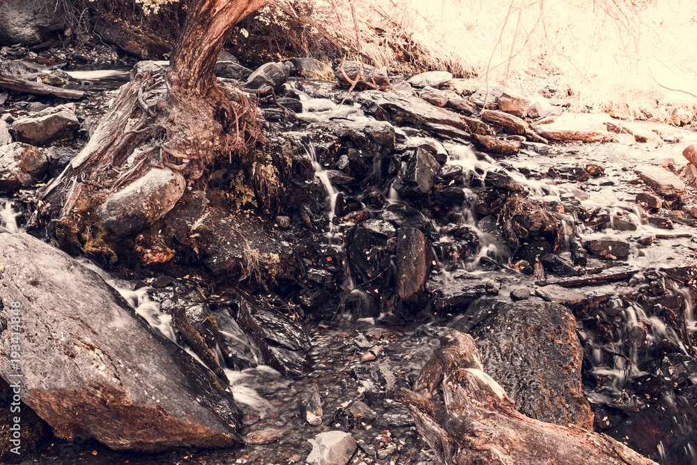 Mountain stream in the forest. Old trees and logs in the river with stone banks Mountain stream in the forest. Old trees and logs in the river with stone banks