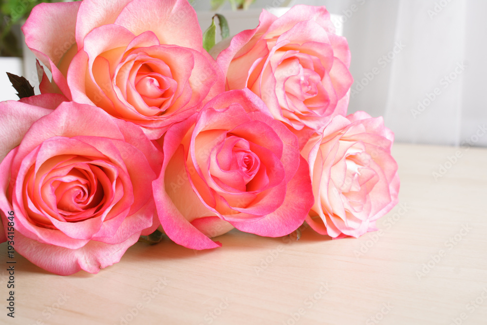 background flowers rose bud abstraction background flowers rose bud abstraction