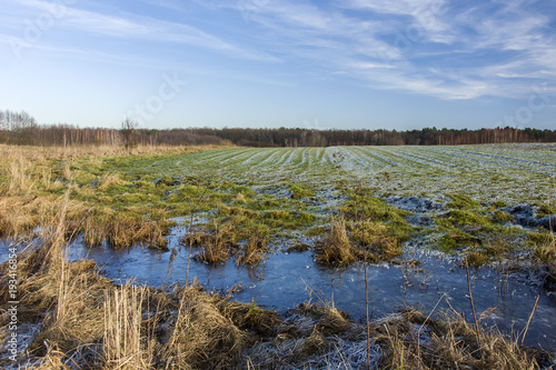 Frozen water on the field