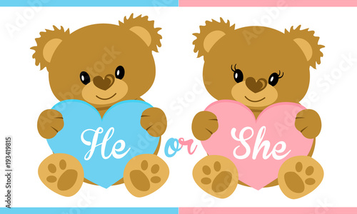 Cute vector character illustration. Teddy bear holding blue and pink heart. Gender reveal party. Boy or girl? Invitation template card. Birth child. Baby shower. Twins icon. She or he. Mister or miss