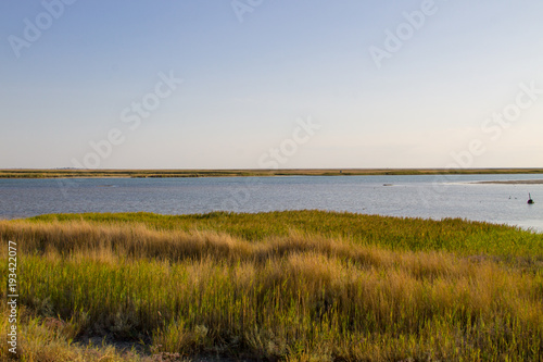 View on the Sivash lake, Ukraine © olyasolodenko