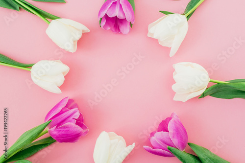 Fototapeta Naklejka Na Ścianę i Meble -  Floral frame background with white and pink tulips on pastel background. Flat lay, top view. Woman day background.