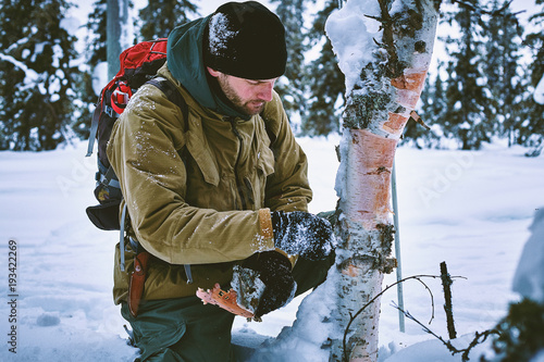 A young man collects a bark of birch, in the winter in the forest