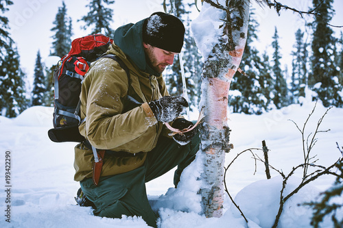 A young man collects a bark of birch, in the winter in the forest