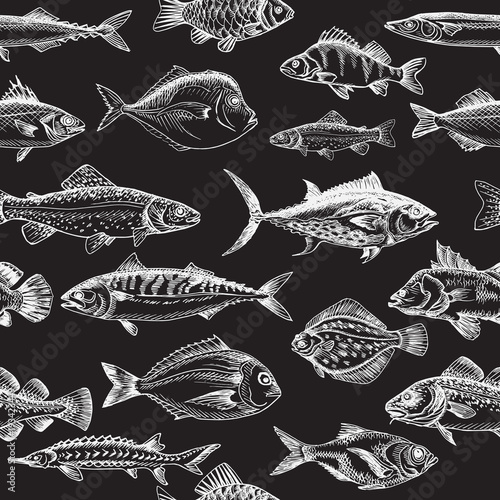 Vector illustration sketch - fish pattern