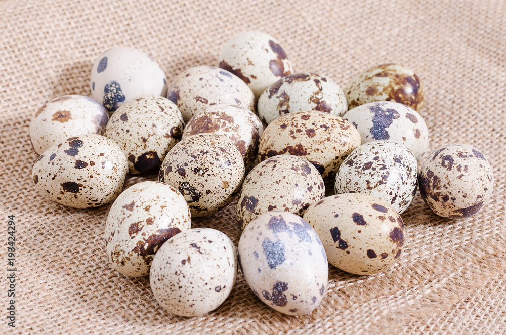 quail eggs on rustic wooden background quail eggs on rustic wooden background