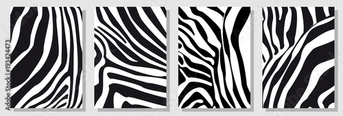 Set of A4 covers with zebra pattern. Template for cards, banners, posters. 