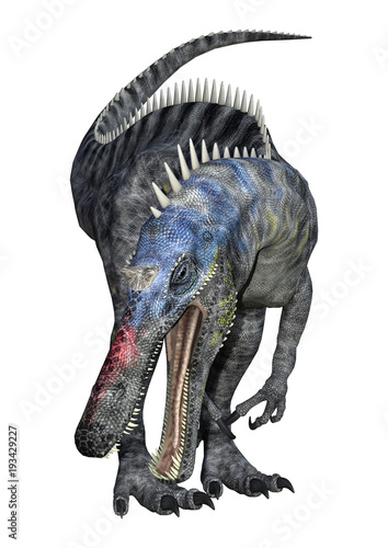 3D Rendering Dinosaur Suchomimus on White