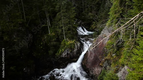 Powerful mountain river with waterfalls in  pine tree forest in High Tatra mountains (Vysoke Tatry), Poland near Zakopane, Morskie Oko lake.