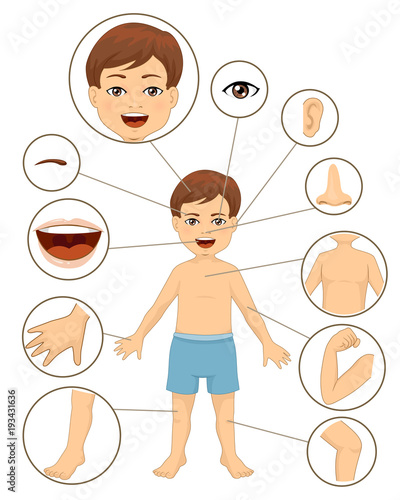 Kid Boy Body Parts Illustration