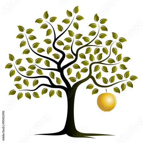 golden apple tree