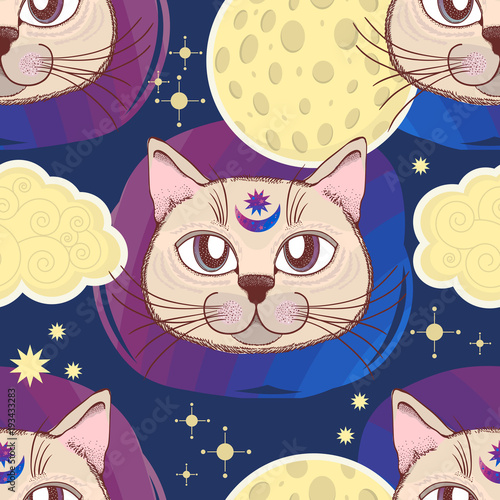 Vector pattern with a cat, moon, stars. Magical and fairy. Suitable for postcards, printing, posters, textiles.