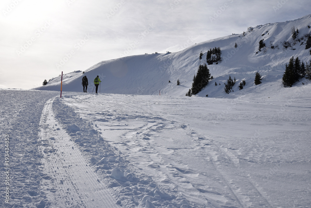 Randonnée dans l'Oberland bernois en hiver en Suisse