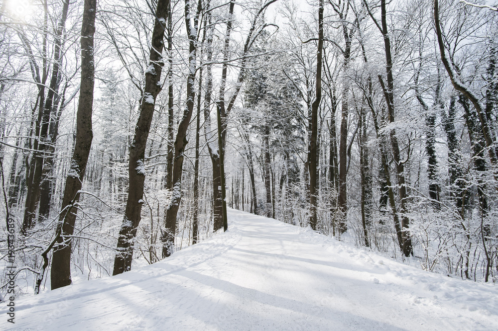 Obraz premium Winterausflug