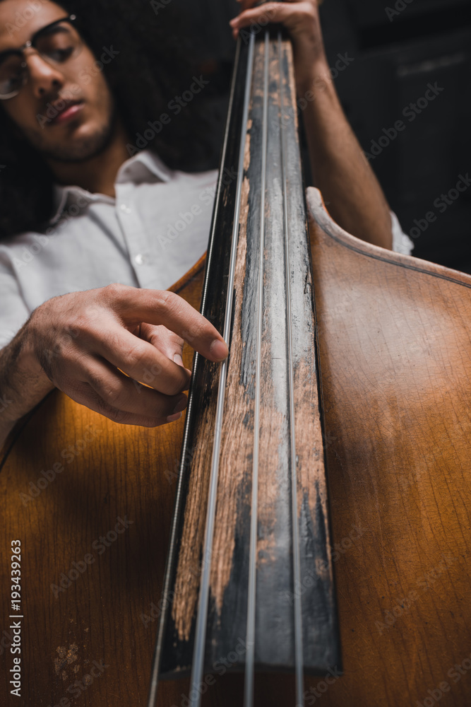 bottom view of handsome young musician playing standup bass bottom view of handsome young musician playing standup bass