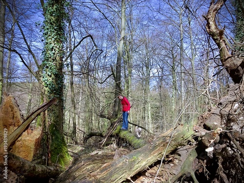 woman with red jacket on a tree trunk at woodland