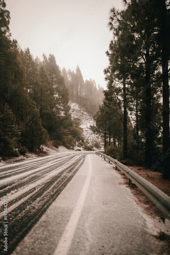 Landscape Landscape