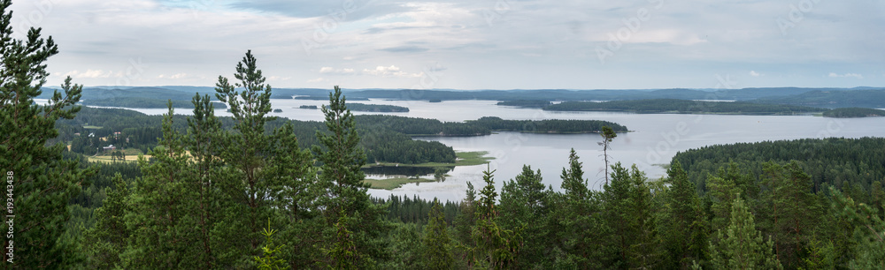 Forest and large lakes in the summer, Finland