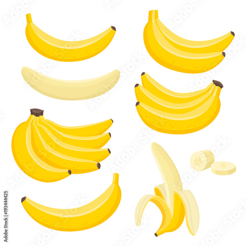 Slika na platnu Vector set of bunches of fresh banana isolated on white