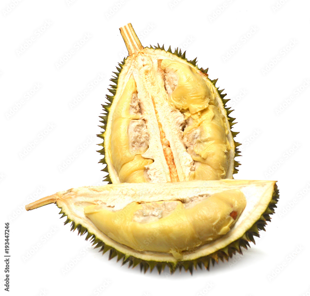 Fototapeta premium Durian isolated on white background