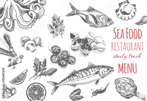 Vector illustration sketch - logo seafood. Card Menu restaurant.