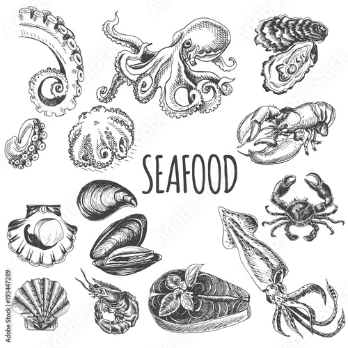 Vector illustration sketch - seafood set.