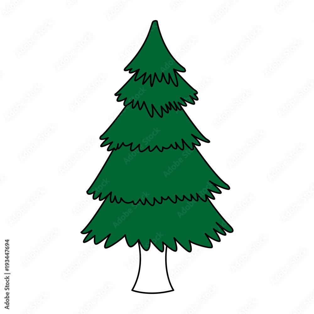 Obraz premium Tree pine isolated icon vector illustration graphic design