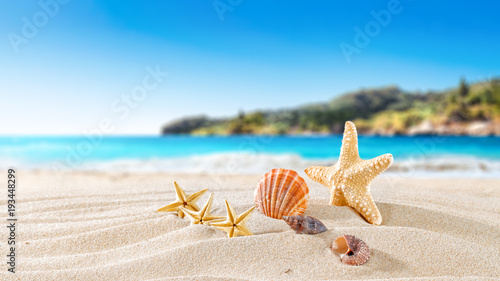 Fototapeta Naklejka Na Ścianę i Meble -  shell on sand and free space 