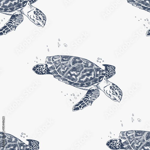 Seamless pattern with hand-drawn turtles. Animal background. Sea life
