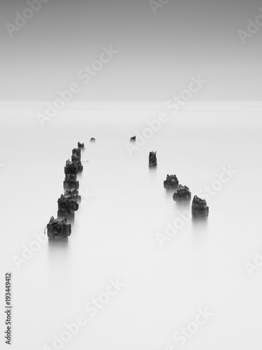 Damaged wooden poles of an old pier in the ocean.