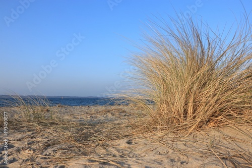 Düne Sand Strand Ostsee Dünengras