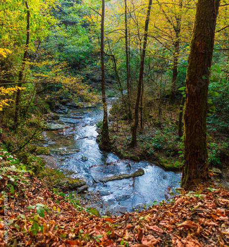 Konstfotografi High angle view of the gorge and the mountain river Bezumenka in autumn day, Soc