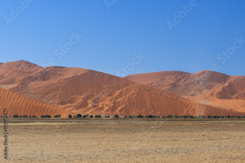 Dunes in the Namib Desert   Dunes in the Namib Desert to the horizon  Sossusvlei  Namibia  Africa.