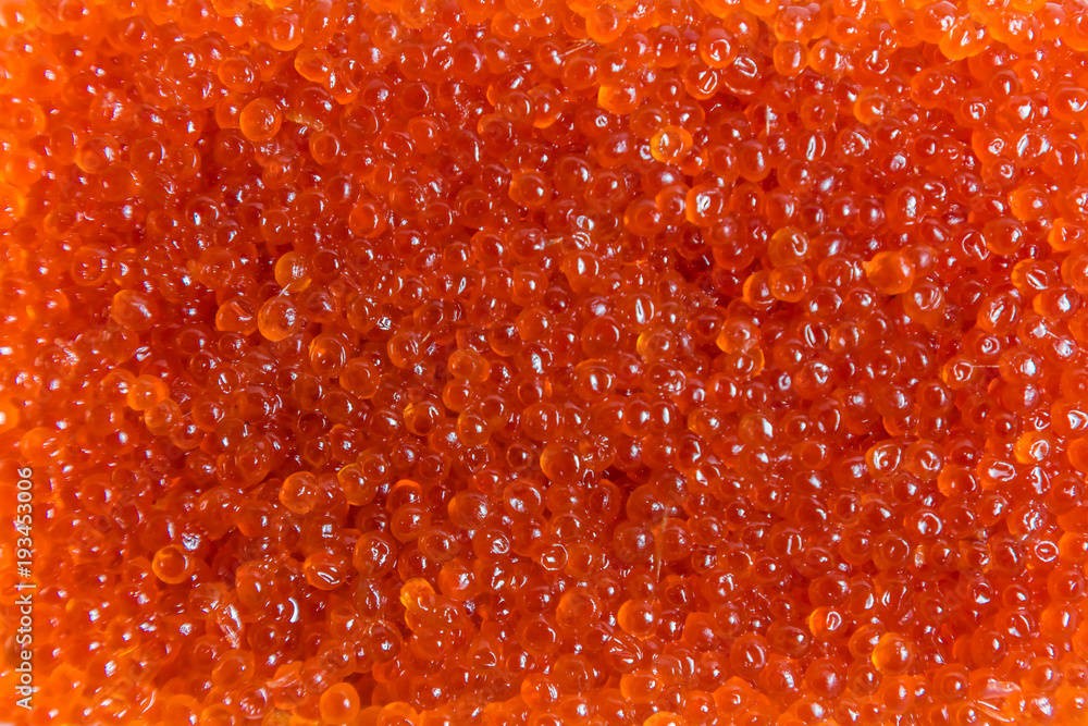 red caviar salmon in a jar on a white background red caviar salmon in a jar on a white background