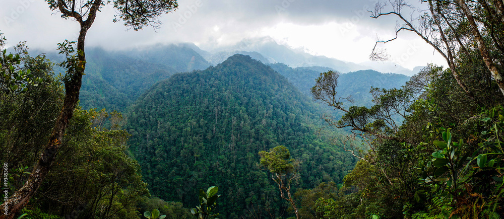 PANACAM National Park in Honduras. Stock Photo | Adobe Stock