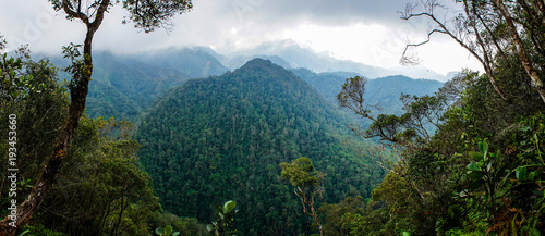 PANACAM National Park in Honduras. photo