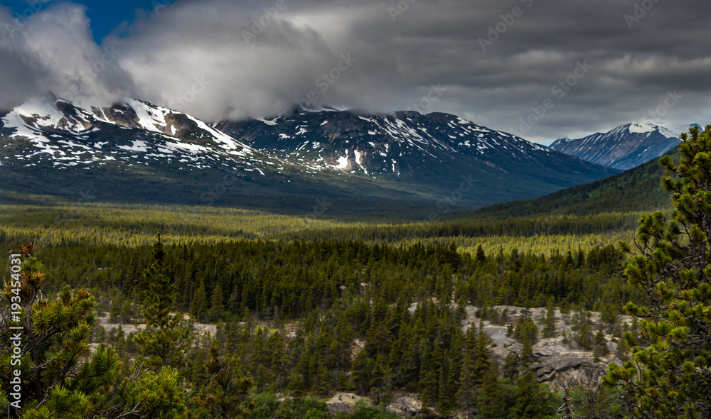Yukon Wilderness - This image was shot near the south tip of Bennett Lake in the Yukon territory of Canada Yukon Wilderness - This image was shot near the south tip of Bennett Lake in the Yukon territory of Canada