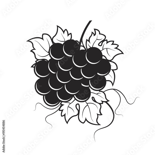 bunch of grapes black and white vector cartoon