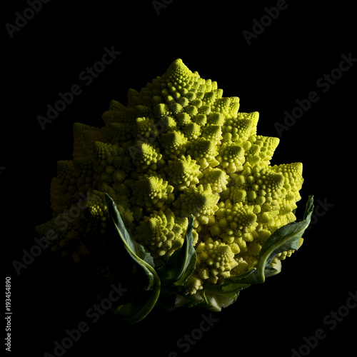 Romanesco broccoli on black background