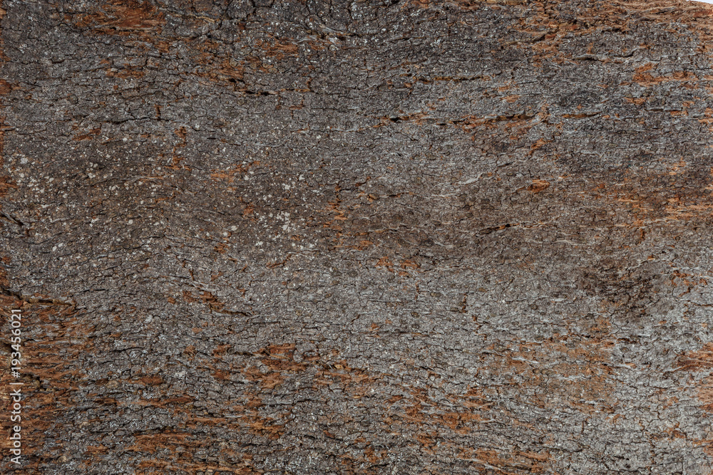 Close Up Background and Texture of Cork Board Wood Surface Close Up Background and Texture of Cork Board Wood Surface